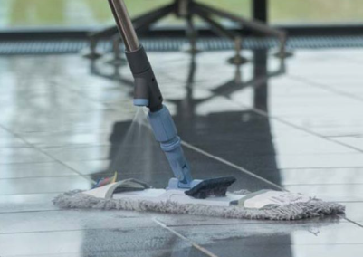 VILEDA-151514 MANCHE SPRAYPRO EN INOX AVEC POIGNÉE PULVÉRISATEUR 