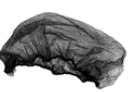 [614585-FSS] EM-1011B-21 FILETS À CHEVEUX 21'' MARRON VENDU 100/PAQUET