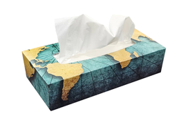 [67G100] GLB-FT100 PAPIER MOUCHOIR 2 PLIS 30X100/CAISSE